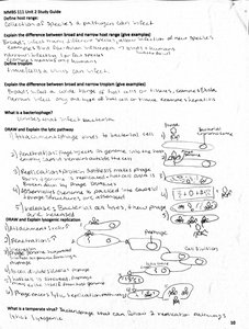 Diagram of bacteriophage lytic and lysogenic cycles