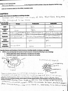 Diagram of virus structure including capsid, envelope, and nucleic acid
