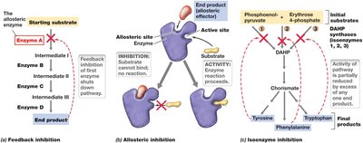 Inhibition of enzyme activity by feedback and allosteric inhibition