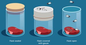 Needham and Spallanzani's broth experiments