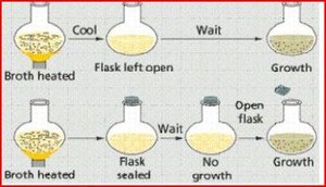 Pasteur's swan-neck flask experiment