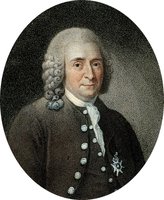 Portrait of Carolus Linnaeus