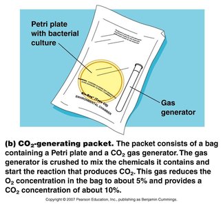 CO2-generating packet for microaerophile cultivation