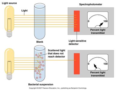 Spectrophotometer measuring turbidity of bacterial suspension