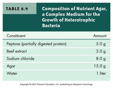 Table: Composition of Nutrient Agar, a Complex Medium
