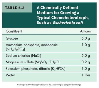Table: Chemically Defined Medium for Escherichia coli
