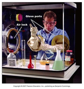 Anaerobic growth chamber with glove ports