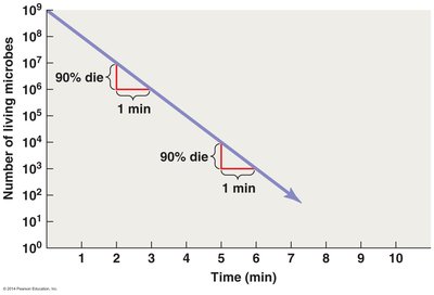 Plot of microbial death rate