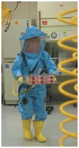 A BSL-4 worker carrying Ebola virus cultures