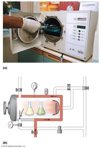 Autoclave and its components
