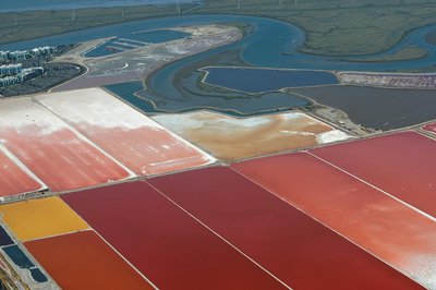 Habitat of halophiles: highly saline water