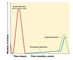 Graph comparing acute, latent, and persistent viral infections