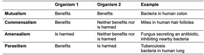 Table of symbiotic relationships