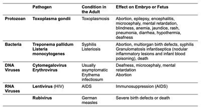 Table of pathogens that cross the placenta