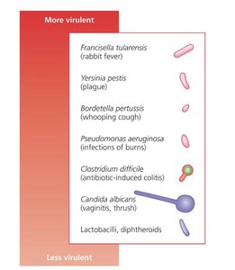Relative virulence of microbial pathogens