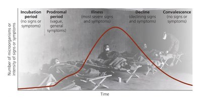 Stages of infectious disease