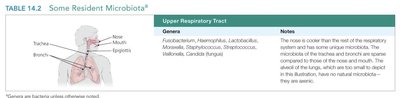 Resident microbiota of the upper respiratory tract