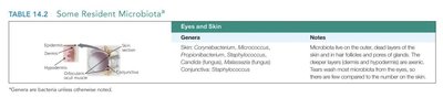 Resident microbiota of the eyes and skin