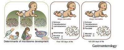 Development of the microbiome in infants