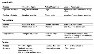 Table of zoonotic diseases (helminthic, protozoan, fungal, bacterial, viral)