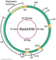 Plasmid R100 map