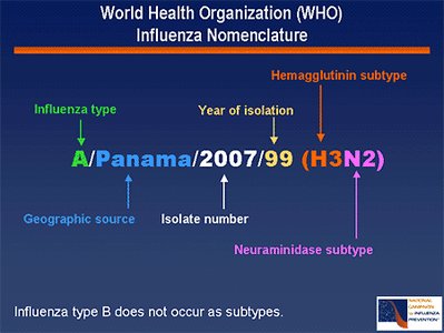 Antigenic shift and drift in influenza