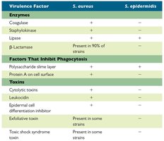 Table of Staphylococcus virulence factors