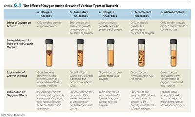 Table of oxygen effects on bacterial growth