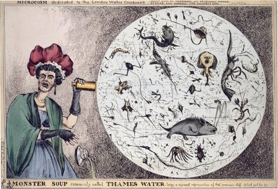 Mid-19th century view of microbes in water