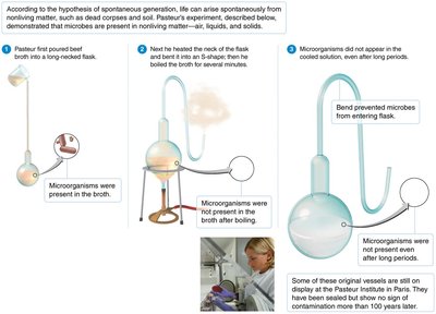 Pasteur's experiment disproving spontaneous generation