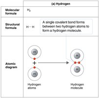 Hydrogen molecule formation