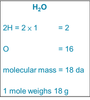 Molecular mass calculation for water
