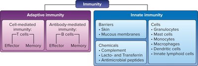 Diagram comparing adaptive and innate immunity