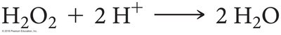 Equation: Peroxidase reaction