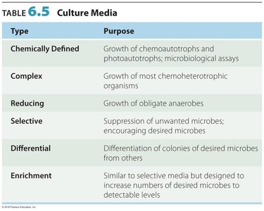 Table: Types and purposes of culture media