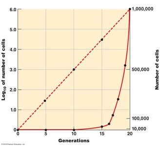 Graph of bacterial growth curve (logarithmic and arithmetic)