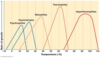 Growth rates of microorganisms at different temperatures