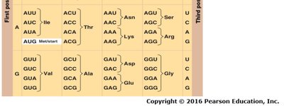 Genetic code table