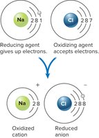Redox pair: sodium and chlorine electron transfer