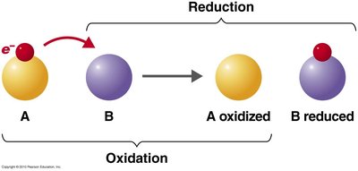 Oxidation and reduction reactions