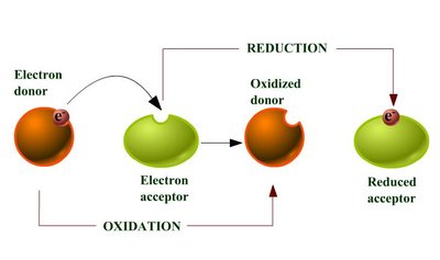 Alternate diagram of oxidation and reduction reactions