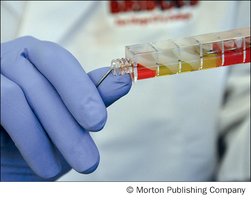 Inoculating Enterotube II with wire