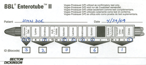 Recording Enterotube II results for identification