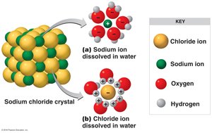 Water dissolving sodium chloride