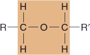 Ester functional group