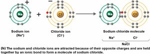 Attraction between sodium and chloride ions to form NaCl