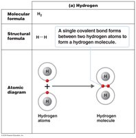 Covalent bond formation in hydrogen