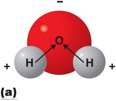 Polarity of water molecule