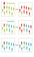 Diagram illustrating herd immunity with varying levels of immunization
