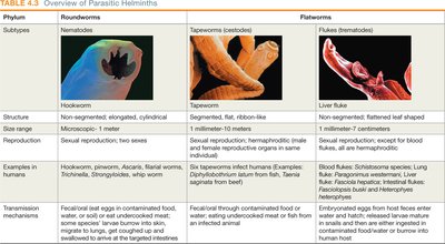 Overview of parasitic helminths